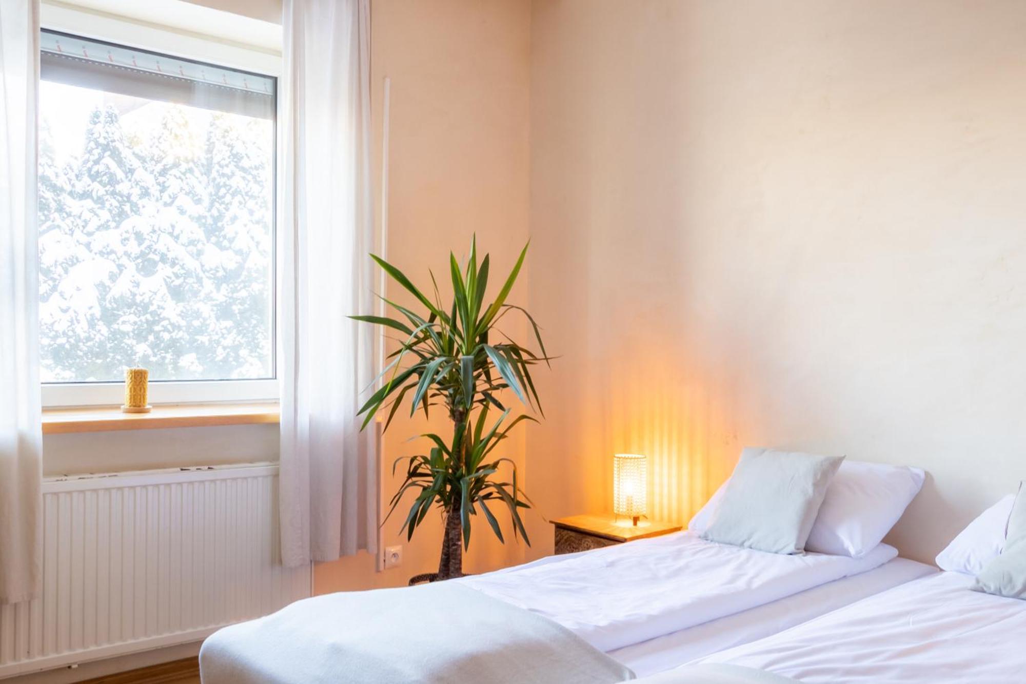 Blisshouse Luxurious Calm And Energetic Spot Near By Surrounded By The Forest Where Will Find Your Peace And Your People * Krakau