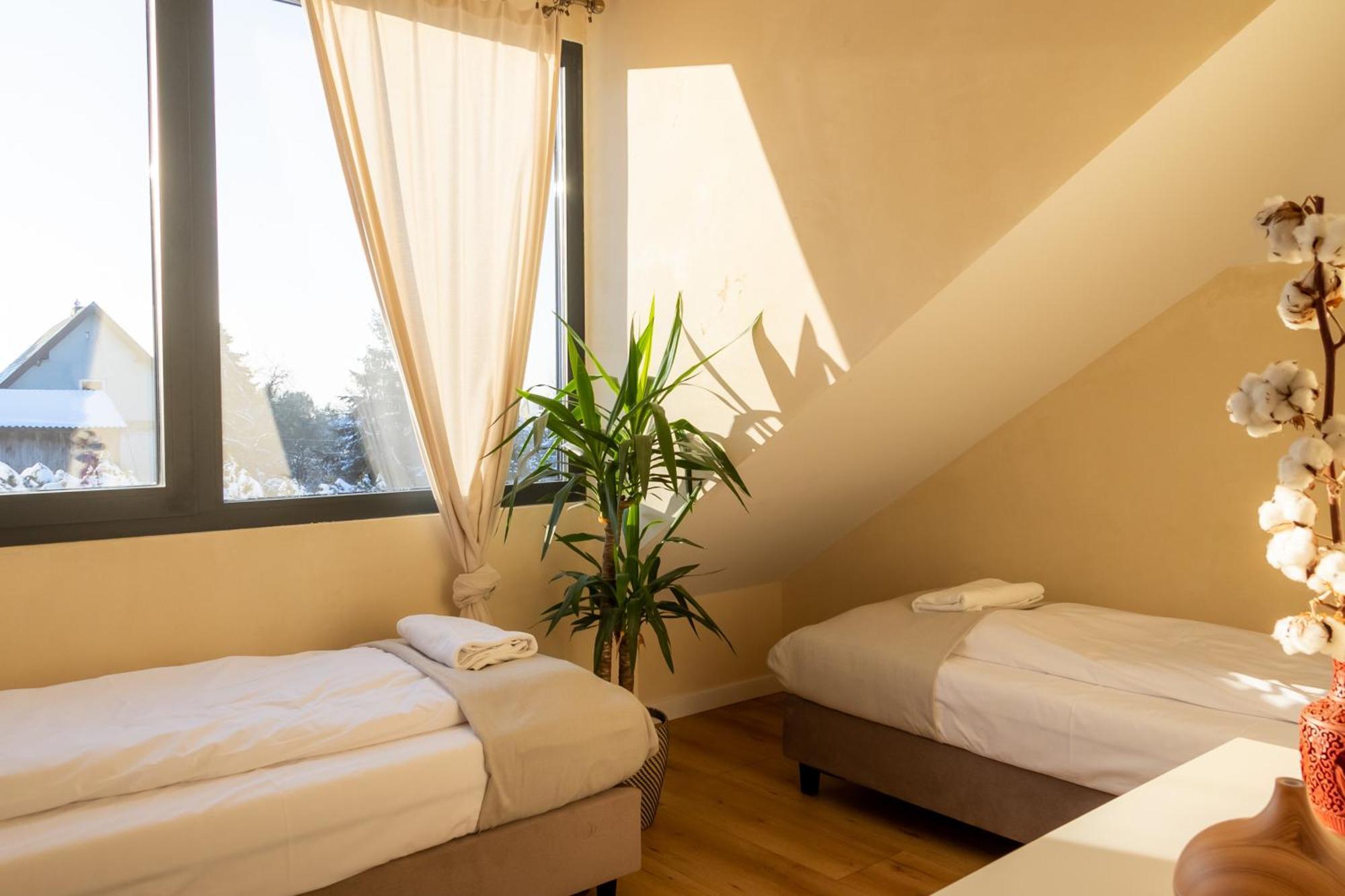Blisshouse Luxurious Calm And Energetic Spot Near By Surrounded By The Forest Where Will Find Your Peace And Your People Gasthof Krakau