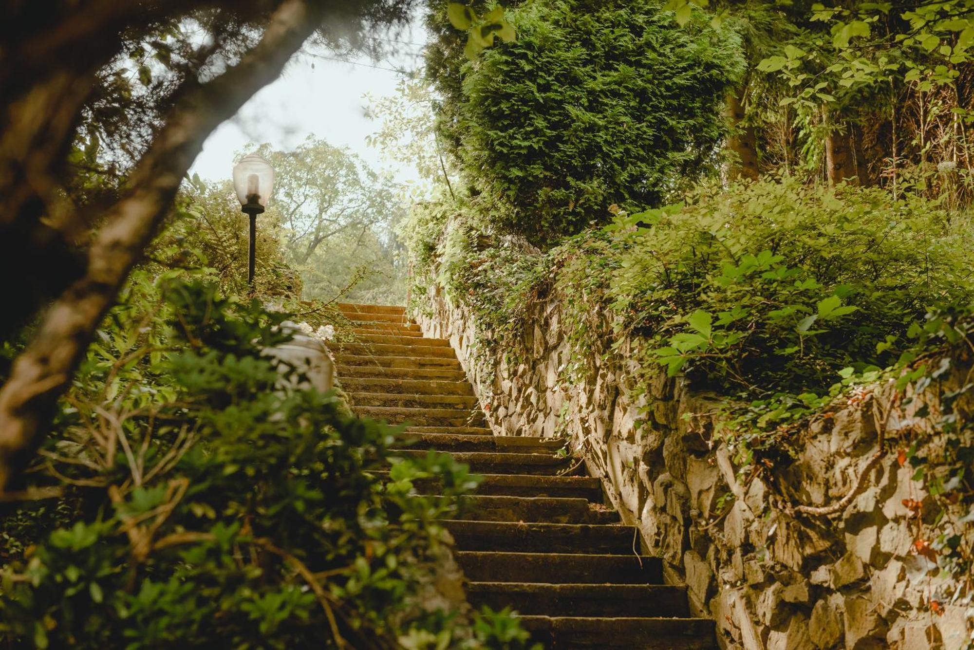 Blisshouse Luxurious Calm And Energetic Spot Near By Surrounded By The Forest Where Will Find Your Peace And Your People Gasthof *